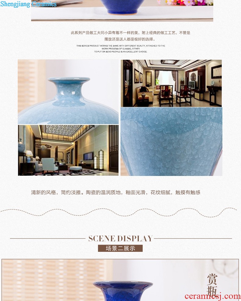 Jingdezhen ceramics vase of contemporary and contracted home sitting room handicraft wine creative egg ornament furnishing articles