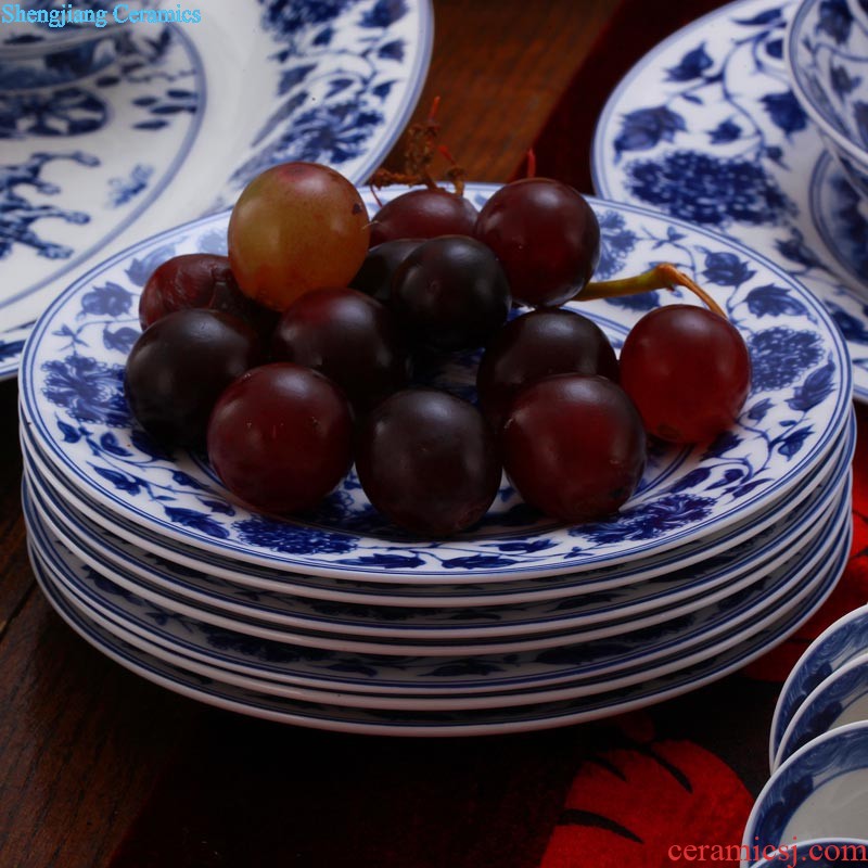 Bone China tableware of jingdezhen blue and white porcelain plates nine domain type dish bone plate 8 inches round platter meal