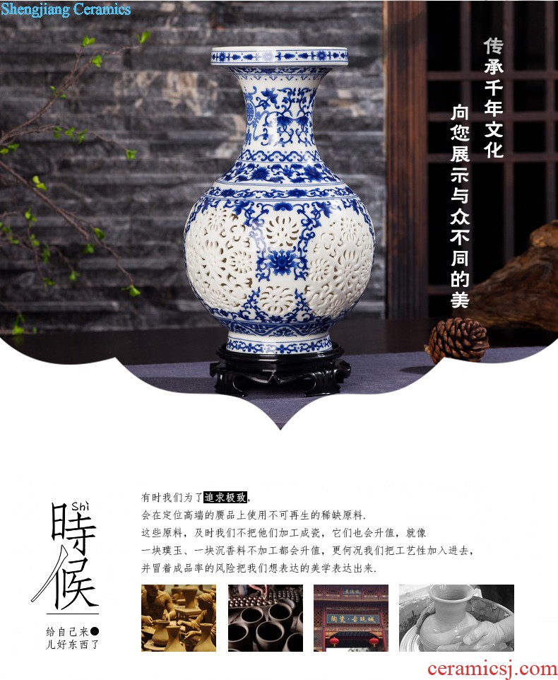 Jingdezhen ceramics vase of contemporary and contracted home sitting room handicraft wine creative egg ornament furnishing articles