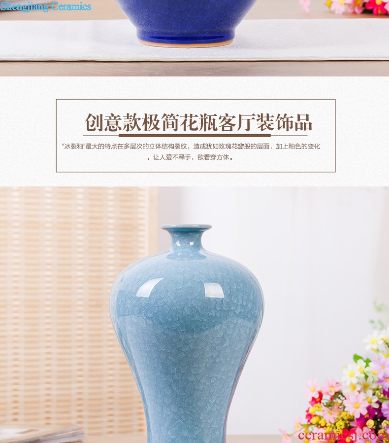 Jingdezhen ceramics vase of contemporary and contracted home sitting room handicraft wine creative egg ornament furnishing articles