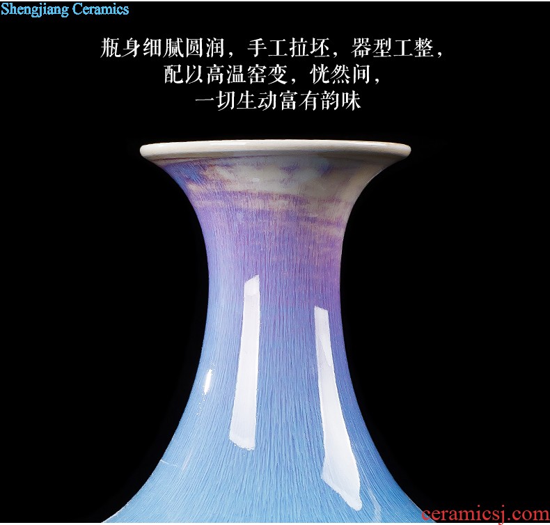 Contracted and contemporary jingdezhen chinaware big vase flower arrangement, household decoration wine porch decoration furnishing articles