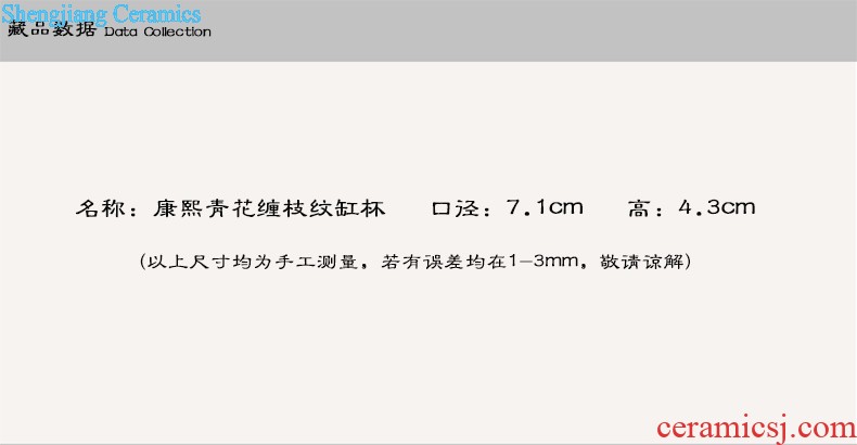 Nine domain of jingdezhen blue and white porcelain of fruit nut plate dry fruit tray double snacks of plate of the sitting room all the candy dish