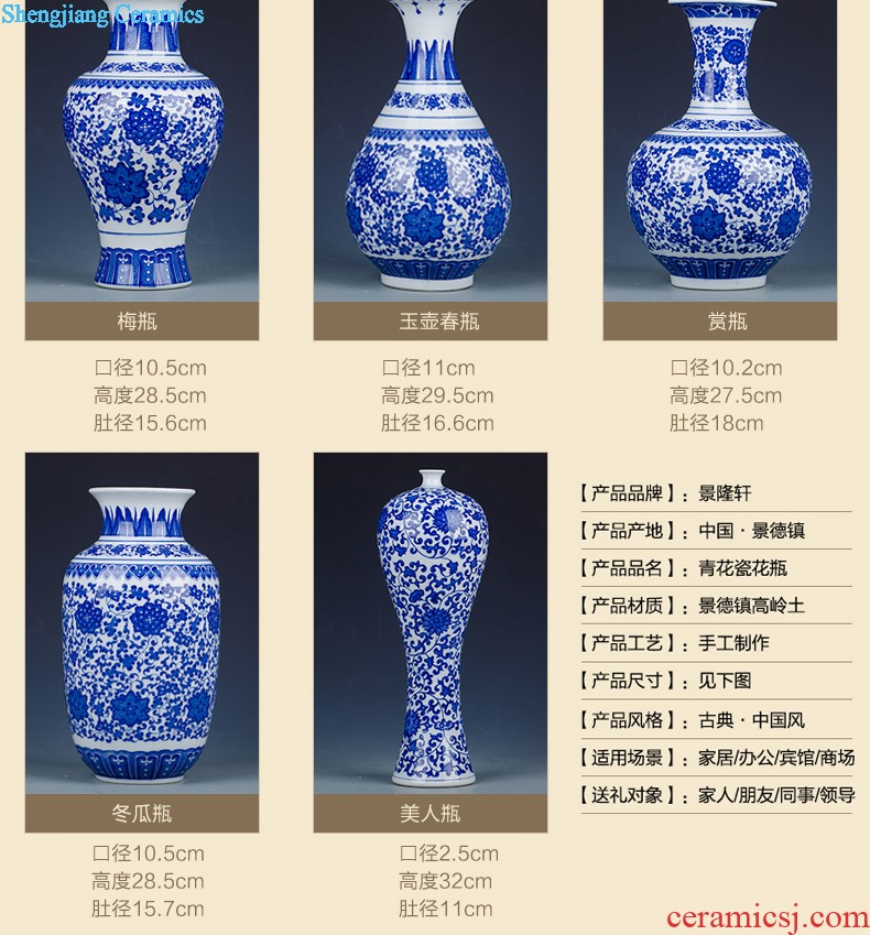 Jingdezhen ceramics vase furnishing articles hollow out modern classical porcelain sitting room ark crafts home decoration