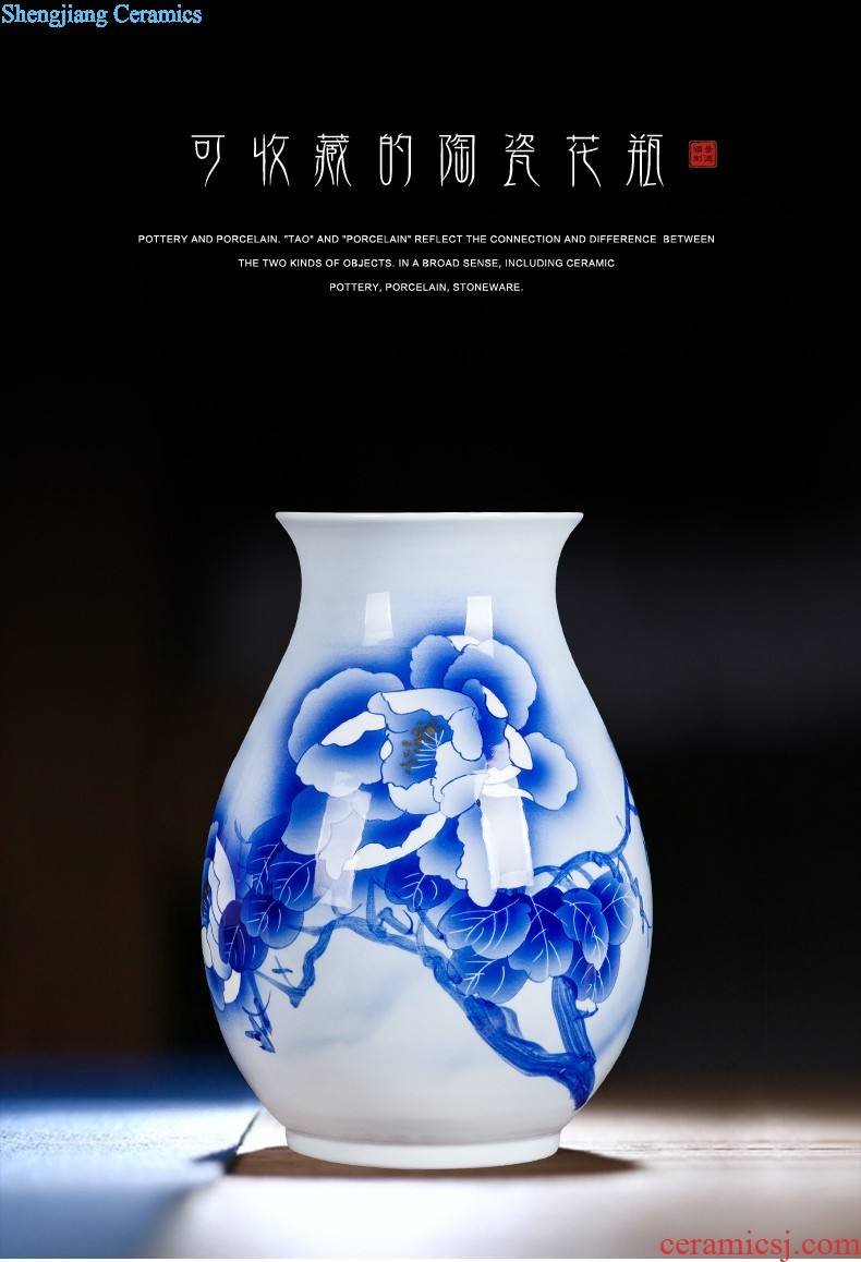 Jingdezhen ceramics hand-painted Chinese famille rose porcelain vase furnishing articles of handicraft wine porch sitting room adornment