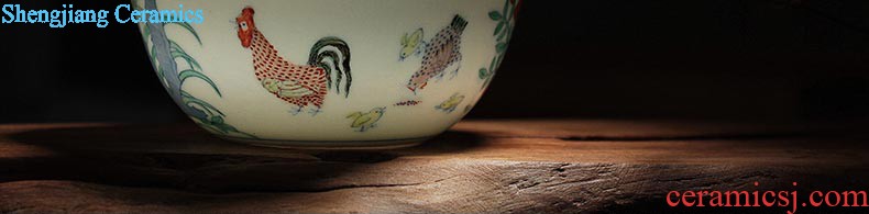 Jingdezhen high-class european-style kitchen household ceramics tableware bone porcelain tableware dish dish suits gift boxes