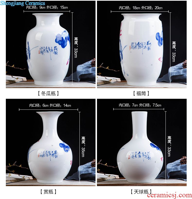 Jingdezhen ceramics hand-painted antique Chinese blue and white porcelain vase furnishing articles contracted household act the role ofing is tasted the sitting room of handicraft