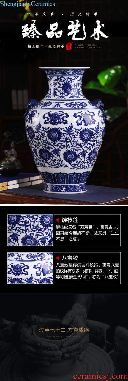 Jingdezhen porcelain ceramic hand-painted porcelain youligong gourd flower vase is placed the new Chinese style household ornaments