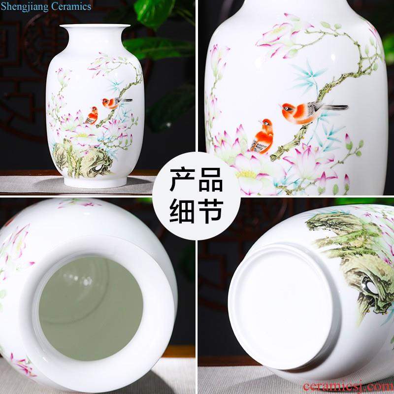 Jingdezhen ceramic furnishing articles hand-painted thin body new Chinese style household vase living room TV ark adornment ornament