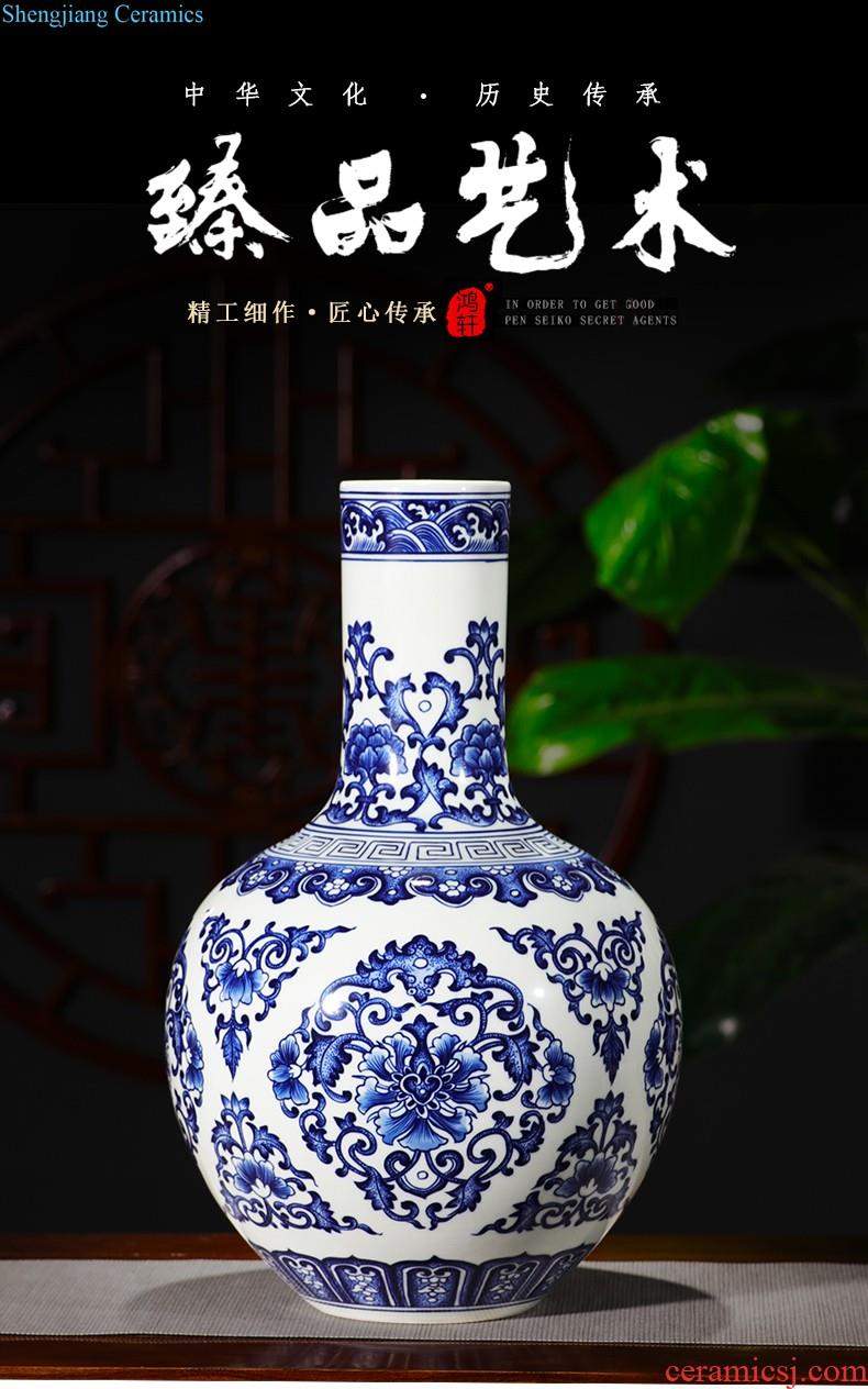 Jingdezhen ceramics hand-painted thin body of blue and white porcelain vase vase furnishing articles new Chinese style home sitting room adornment