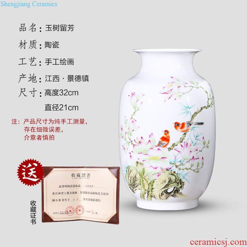 Jingdezhen ceramic furnishing articles hand-painted thin body new Chinese style household vase living room TV ark adornment ornament