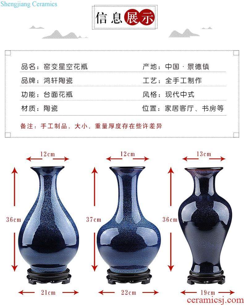 Jingdezhen ceramic vase furnishing articles flower arranging Chinese contemporary and contracted creative home sitting room adornment dried flower porcelain