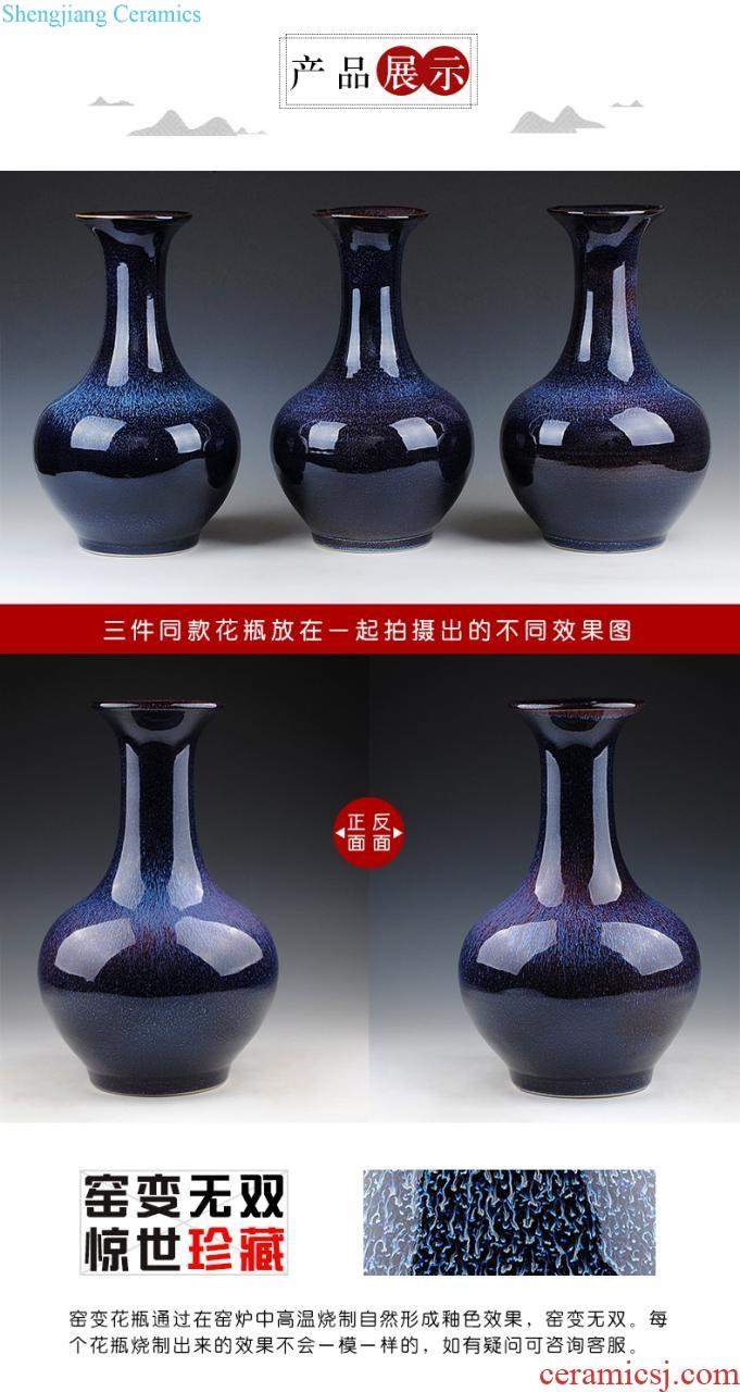 Jingdezhen ceramic vase furnishing articles flower arranging Chinese contemporary and contracted creative home sitting room adornment dried flower porcelain