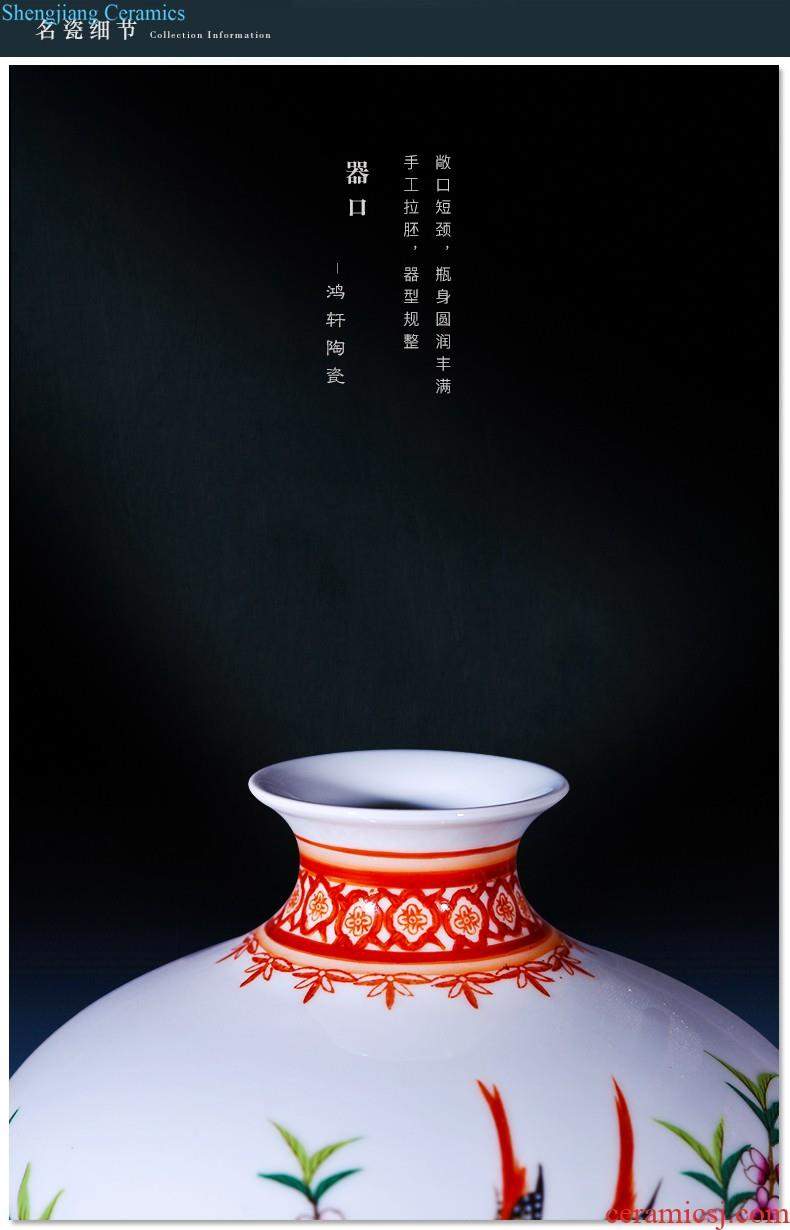 Jingdezhen ceramics vase hand-painted large gulp of new Chinese style household adornment porcelain vases, flower arranging furnishing articles