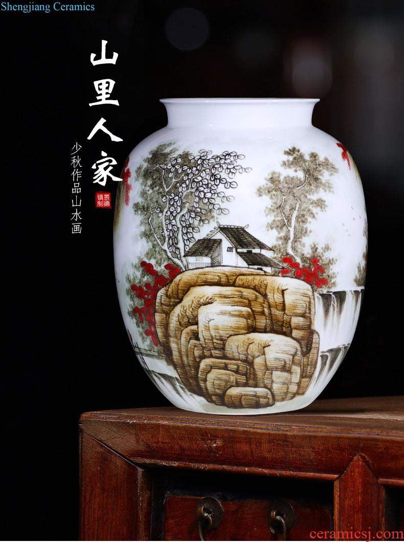 Jingdezhen porcelain ceramic colored enamel large vases, flower arranging landing place new Chinese style home sitting room adornment