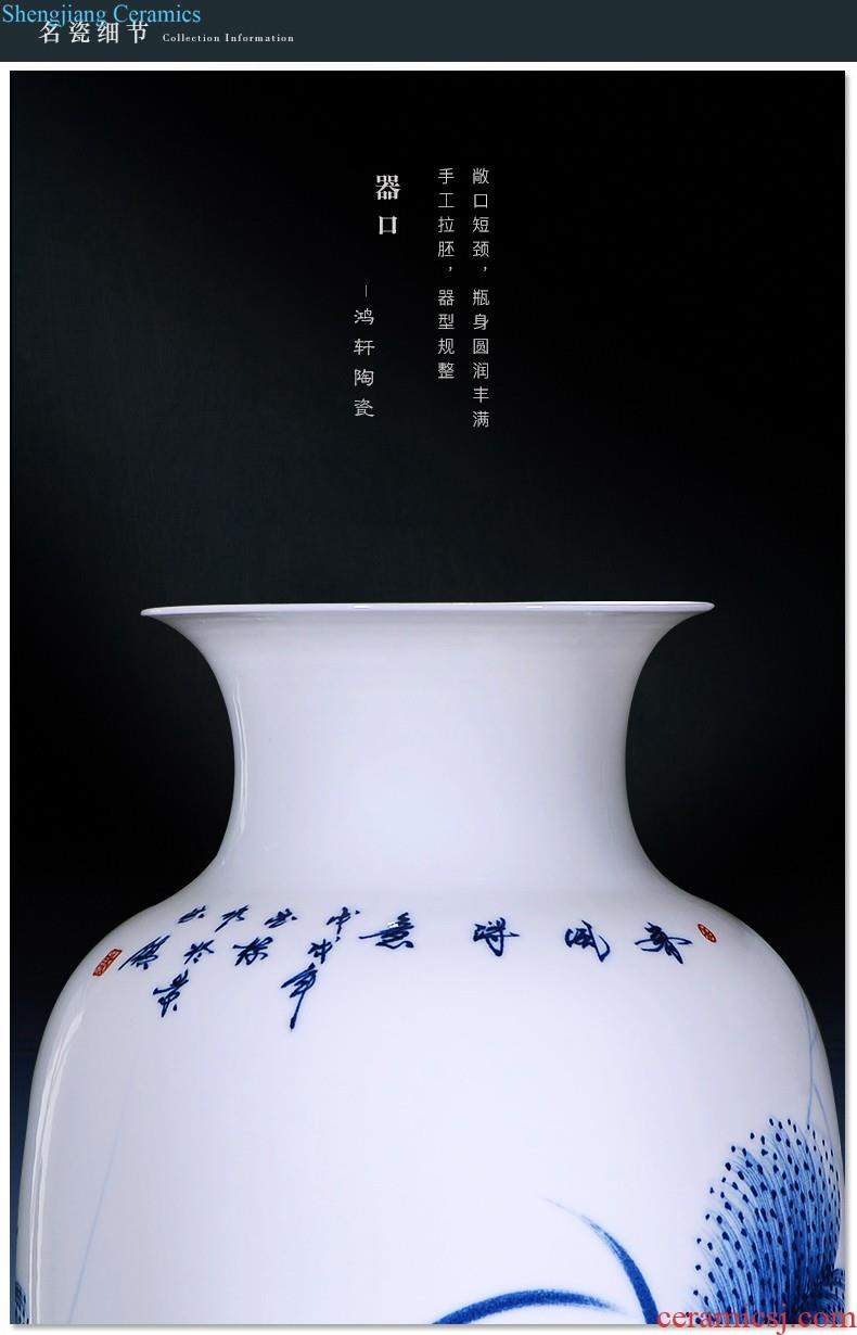 Jingdezhen ceramics hand-painted gift porcelain vase furnishing articles new Chinese style living room TV ark home flower adornment