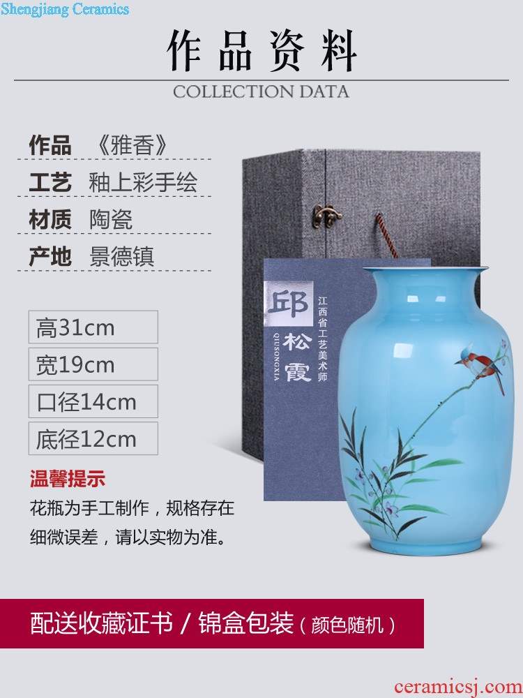 Jingdezhen ceramics furnishing articles hand-painted shan vase sitting room porch decoration of Chinese style household decoration after the rain