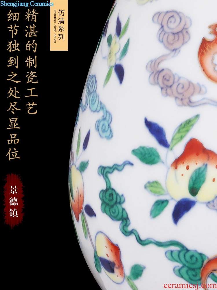 Jingdezhen ceramics vases, flower arranging furnishing articles creative home sitting room desktop TV ark wedding gifts