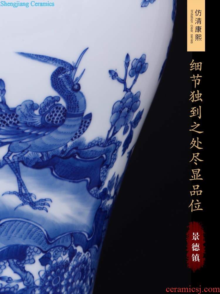 Jingdezhen ceramics imitation qing qianlong fuels the dragon celestial vase large new Chinese style club sitting room adornment