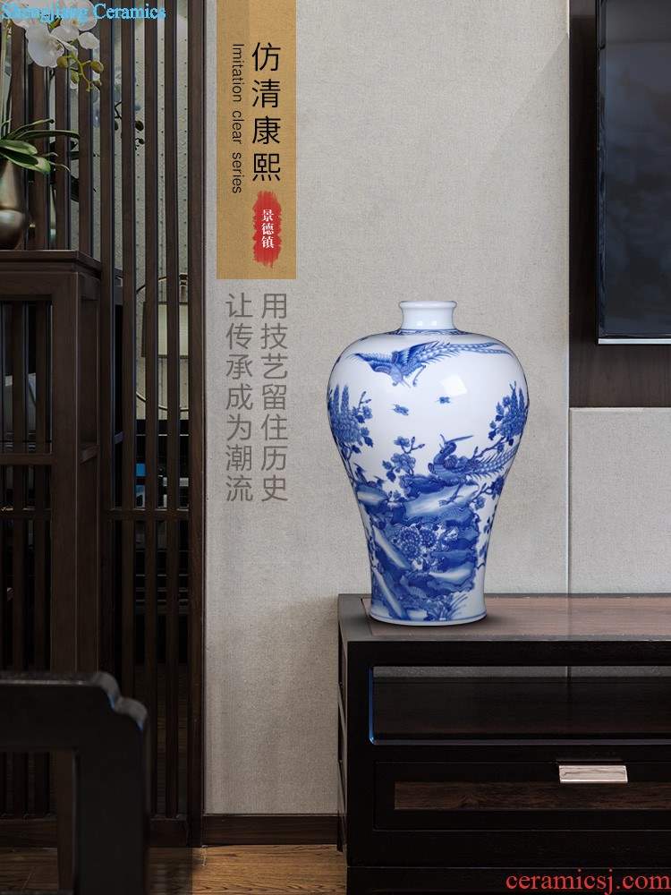 Jingdezhen ceramics imitation qing qianlong fuels the dragon celestial vase large new Chinese style club sitting room adornment