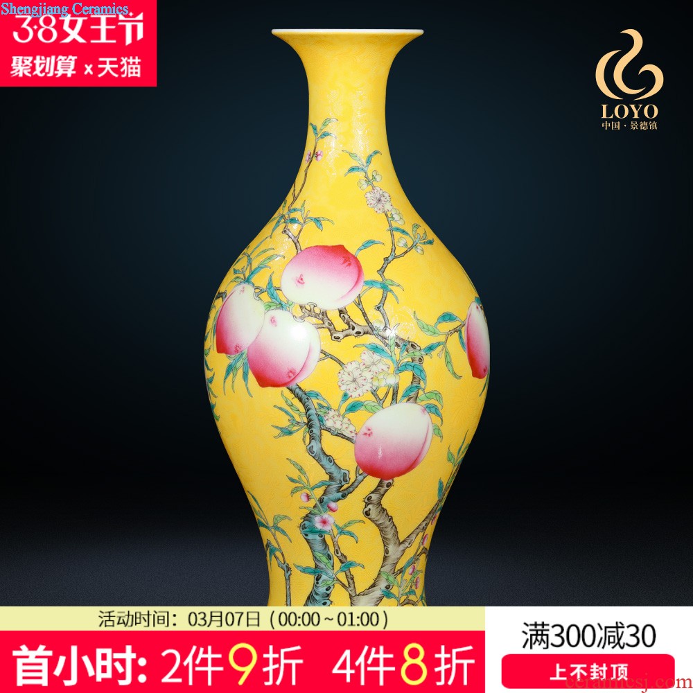 Jingdezhen ceramics vase imitation qing qianlong enamel paint life of binaural statue of Chinese style household furnishing articles offered the dragon king