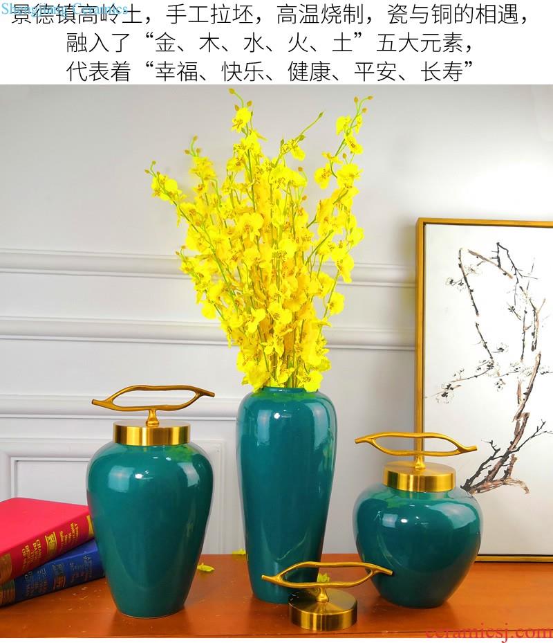 Nordic simple ceramic vase sitting room new dry flower arranging flowers light TV ark furnishing articles of luxury hotel home decoration