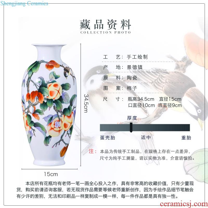 Jingdezhen ceramics hand-painted fu lu shou decoration floor vase sitting room of new Chinese style household collect bottles of furnishing articles