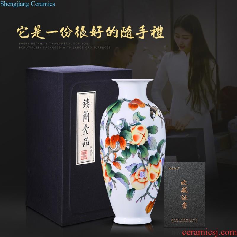 Jingdezhen ceramics hand-painted fu lu shou decoration floor vase sitting room of new Chinese style household collect bottles of furnishing articles