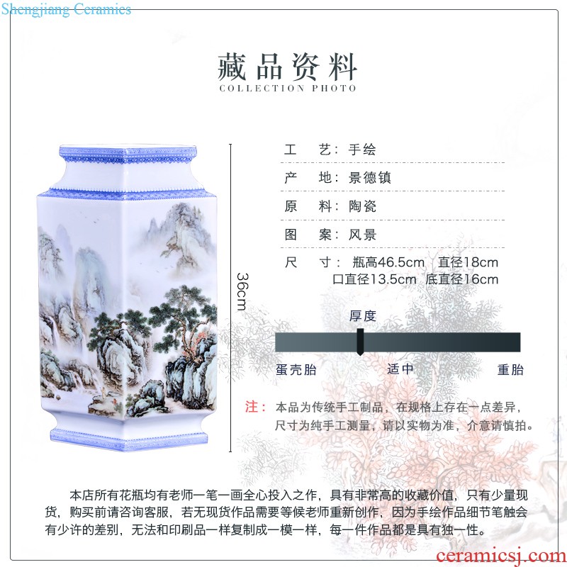 Jingdezhen ceramics hand-painted peony pastel flowers decorative vase sitting room furniture collection of new Chinese style furnishing articles