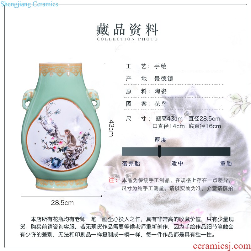 Jingdezhen ceramics hand-painted powder enamel decoration of large vases, new Chinese style household rich ancient frame furnishing articles