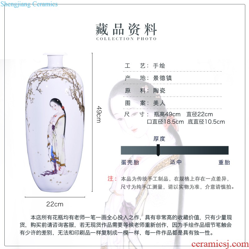 Jingdezhen ceramics hand-painted dress powder enamel decoration of large vases, new Chinese style household furnishing articles