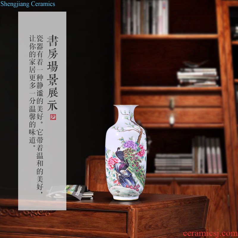 Master of jingdezhen ceramics hand-painted birds decoration vase sitting room furniture collection of new Chinese style furnishing articles