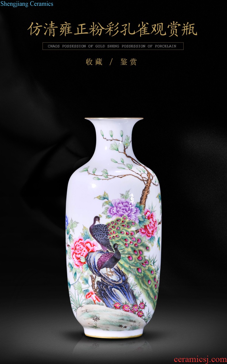 Master of jingdezhen ceramics hand-painted birds decoration vase sitting room furniture collection of new Chinese style furnishing articles