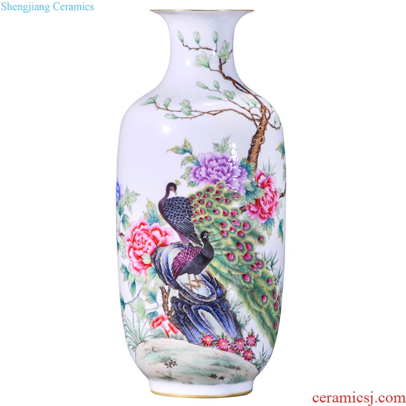 Master of jingdezhen ceramics hand-painted birds decoration vase sitting room furniture collection of new Chinese style furnishing articles