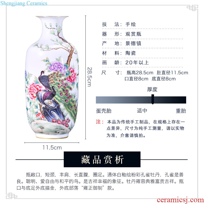 Master of jingdezhen ceramics hand-painted birds decoration vase sitting room furniture collection of new Chinese style furnishing articles