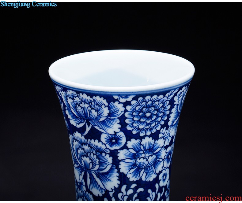 Jingdezhen ceramic vase hand-painted home furnishing articles sitting room porch decoration villa room decoration rural wind