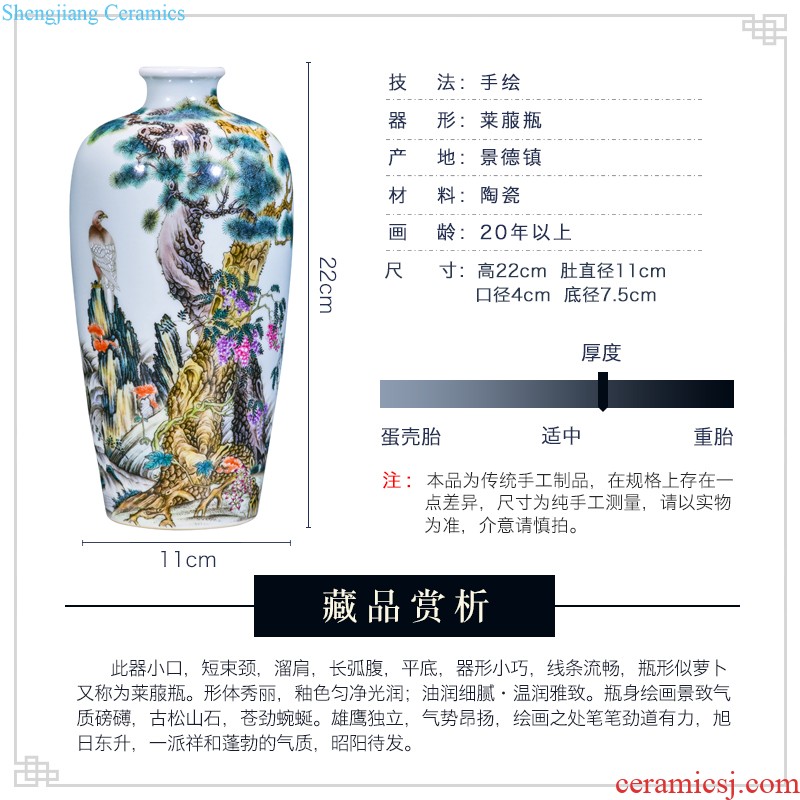 Jingdezhen ceramics hand-painted big vase furnishing articles new Chinese style decoration flower arranging household bedroom a sitting room be born