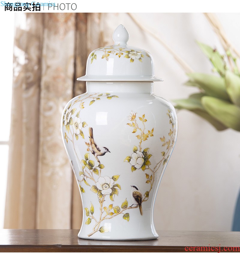 Jingdezhen ceramic vase furnishing articles Nordic light luxury porcelain storage tank sitting room porch household soft adornment arranging flowers