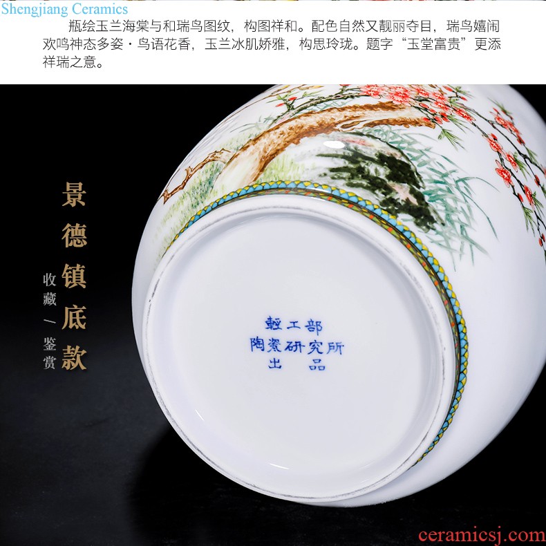 New Chinese style household boutique jingdezhen ceramics hand-painted jack snow vase rich ancient frame decorative furnishing articles