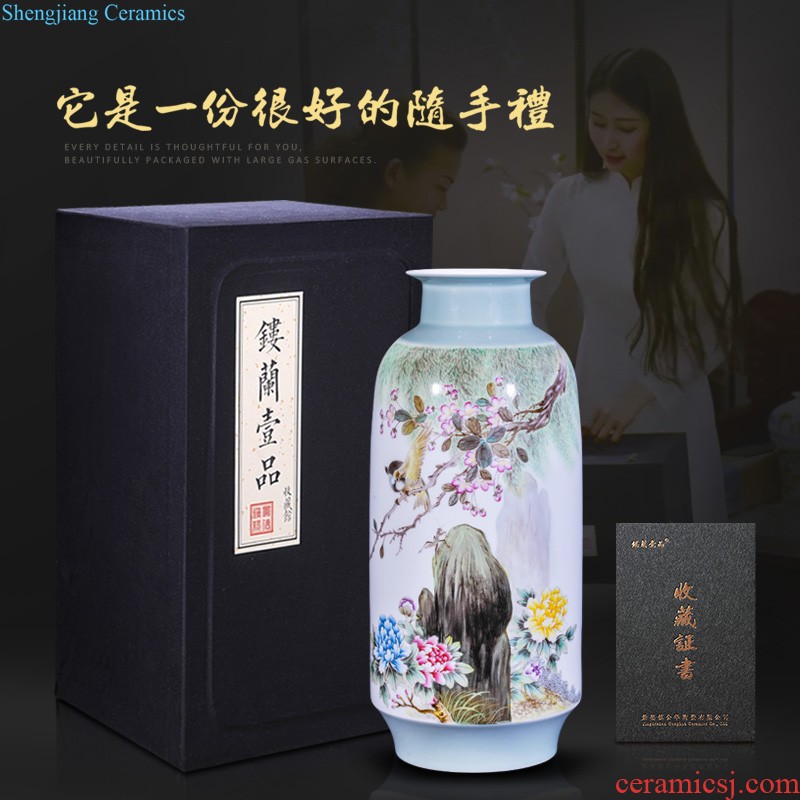 Jingdezhen ceramics hand-painted color ink paint lyu3 bu4 love sable cicada big vase household sitting room adornment collection furnishing articles