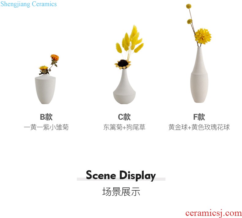 Ins contracted and contemporary ceramic vase Nordic creative mesa hydroponic vase furnishing articles furnishing articles flower arrangement sitting room adornment