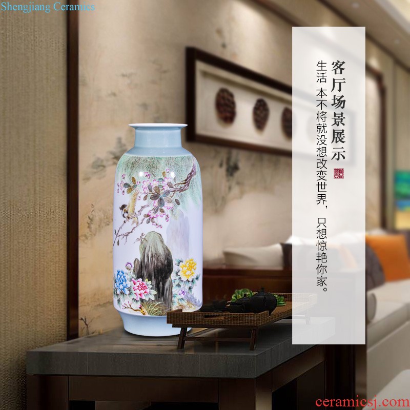 Jingdezhen ceramics hand-painted color ink paint lyu3 bu4 love sable cicada big vase household sitting room adornment collection furnishing articles