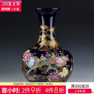 Archaize of jingdezhen blue and white porcelain vase the celestial sphere large Chinese style household ceramics furnishing articles collection of handicraft ornament