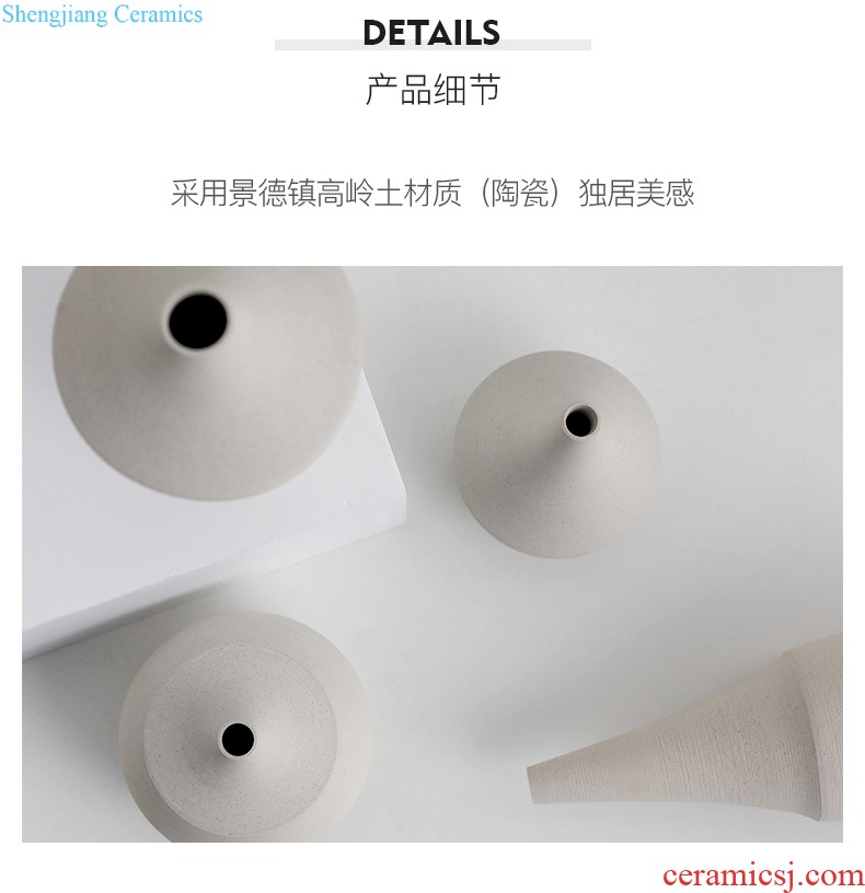 Ins contracted and contemporary ceramic vase Nordic creative mesa hydroponic vase furnishing articles furnishing articles flower arrangement sitting room adornment