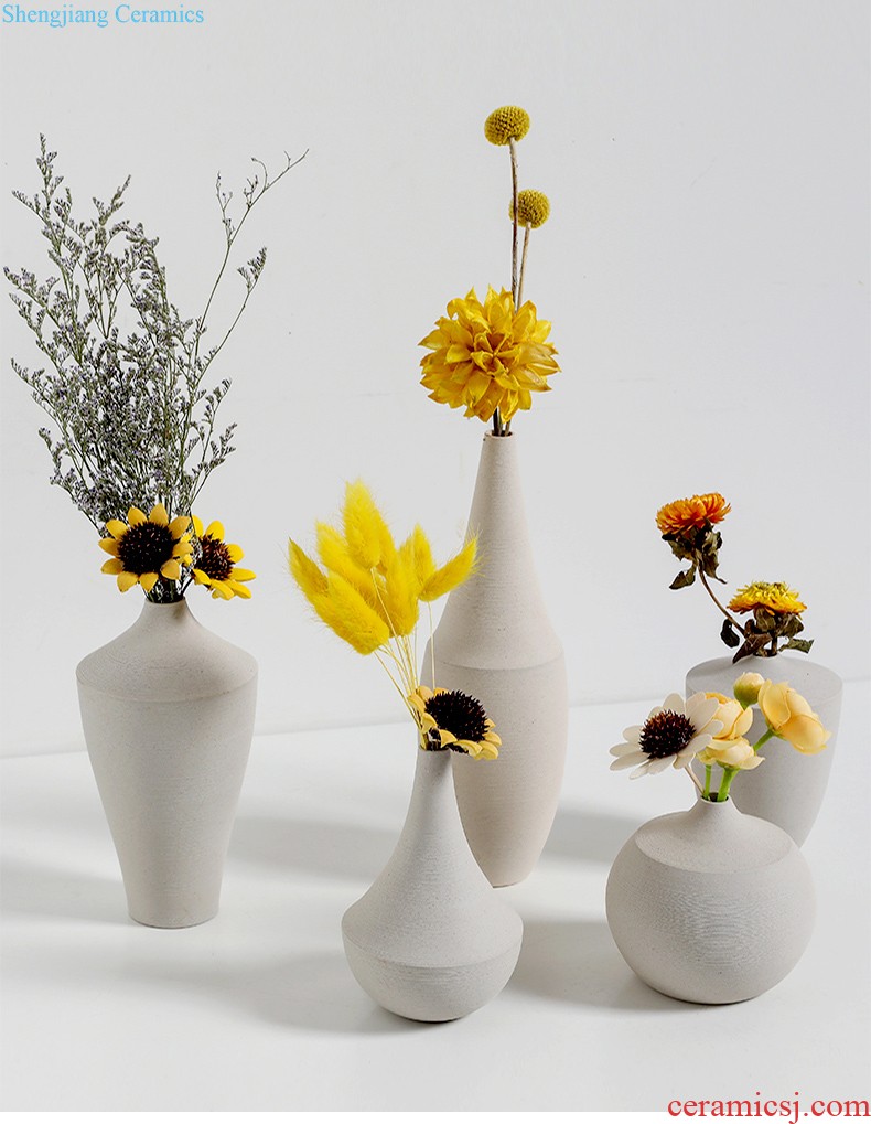 Ins contracted and contemporary ceramic vase Nordic creative mesa hydroponic vase furnishing articles furnishing articles flower arrangement sitting room adornment