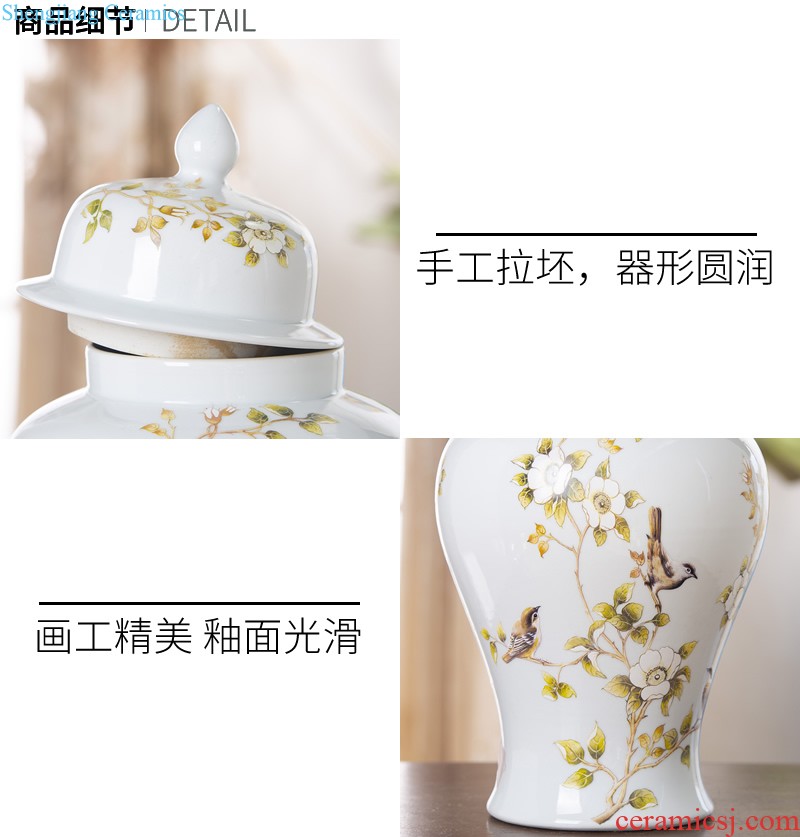 Jingdezhen ceramic vase furnishing articles Nordic light luxury porcelain storage tank sitting room porch household soft adornment arranging flowers