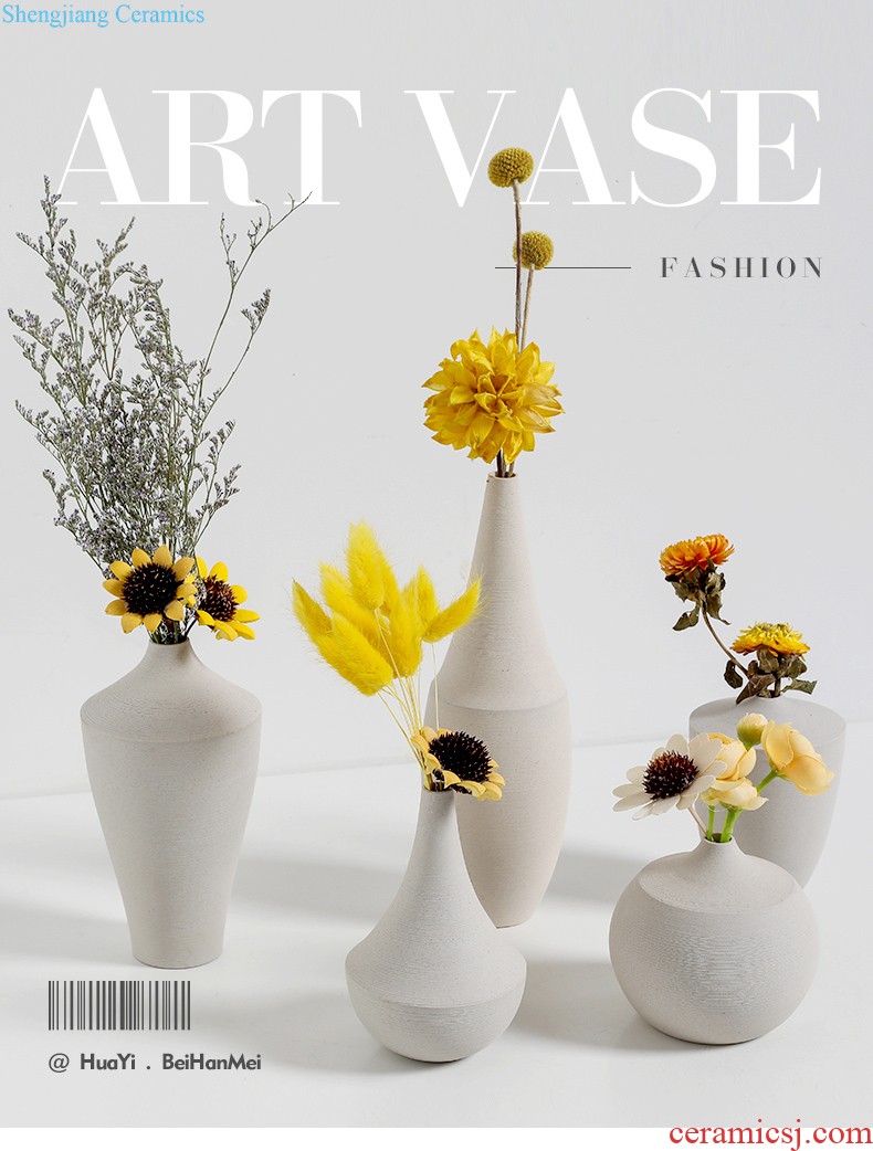 Ins contracted and contemporary ceramic vase Nordic creative mesa hydroponic vase furnishing articles furnishing articles flower arrangement sitting room adornment