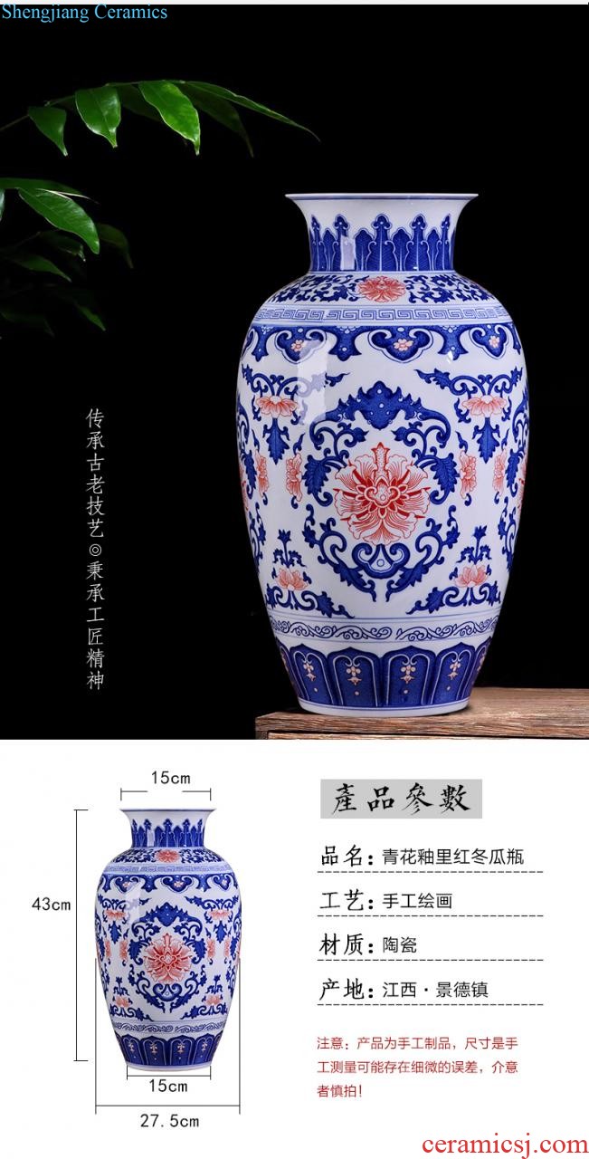 Jingdezhen ceramics vase hand-painted flower arranging mei bottles of new Chinese style household furnishing articles sitting room adornment ornament porcelain