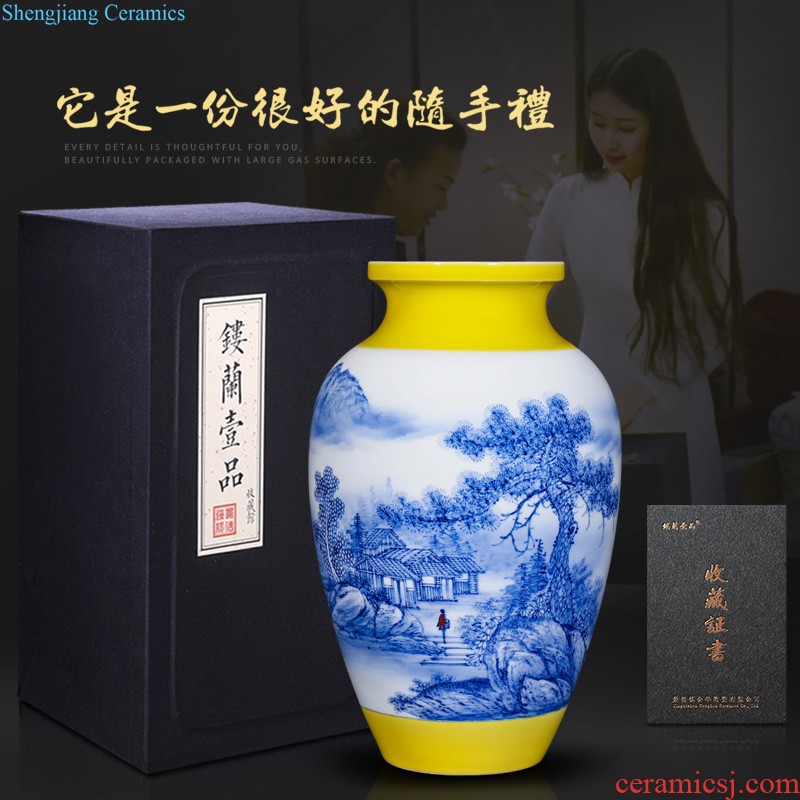 Jingdezhen ceramic hand-painted thin body new Chinese style flower vase contemporary home sitting room porch decorative furnishing articles