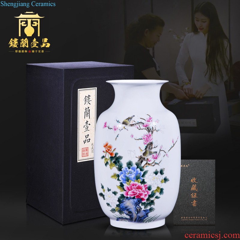 Jingdezhen ceramic master hand painted porcelain vase furnishing articles of new Chinese rich ancient frame sitting room decoration wedding decoration