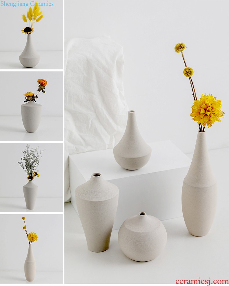 Ins contracted and contemporary ceramic vase Nordic creative mesa hydroponic vase furnishing articles furnishing articles flower arrangement sitting room adornment